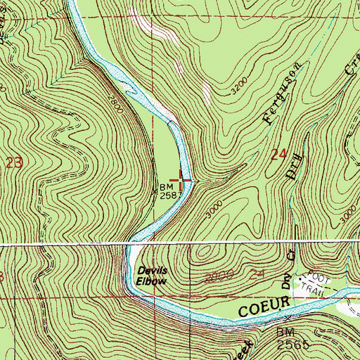 Topographic Map of Ferguson Creek, ID