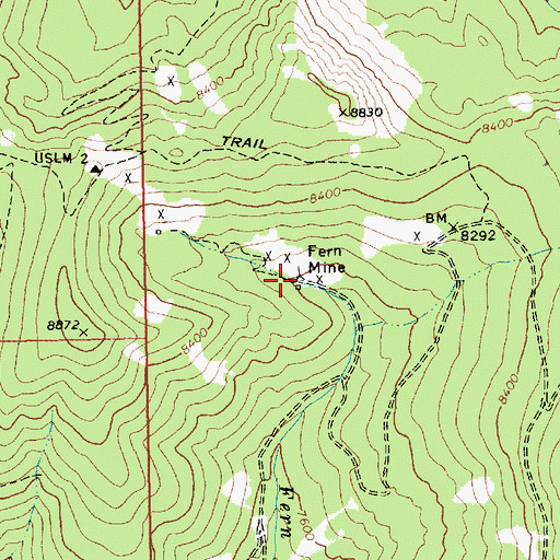Topographic Map of Fern Mine, ID