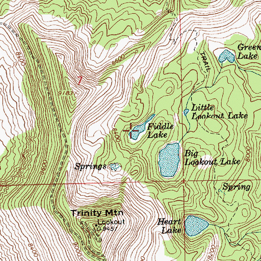 Topographic Map of Fiddle Lake, ID