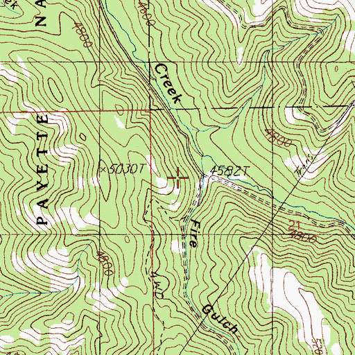 Topographic Map of Fire Gulch, ID