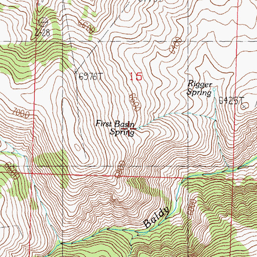 Topographic Map of First Basin Spring, ID