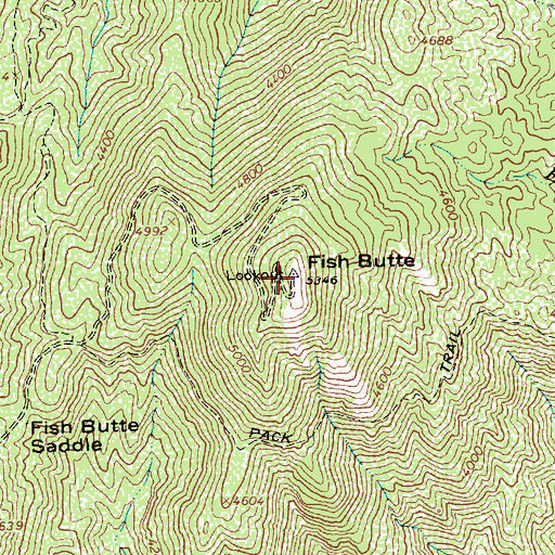 Topographic Map of Fish Butte, ID