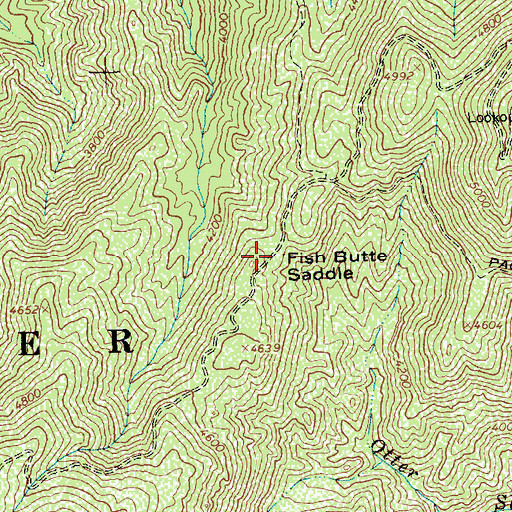 Topographic Map of Fish Butte Saddle, ID