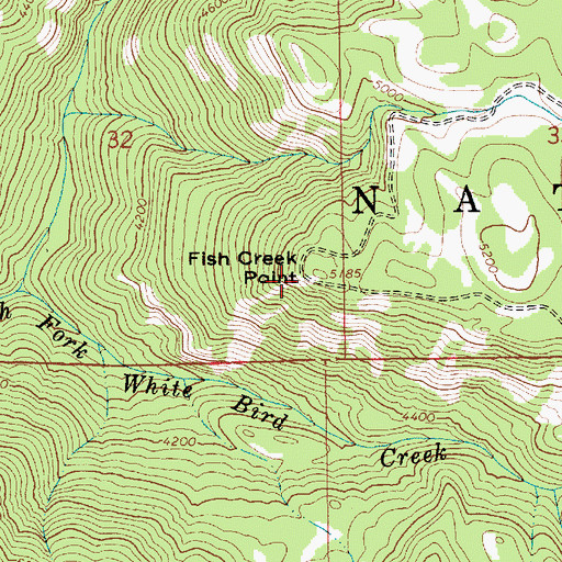 Topographic Map of Fish Creek Point, ID