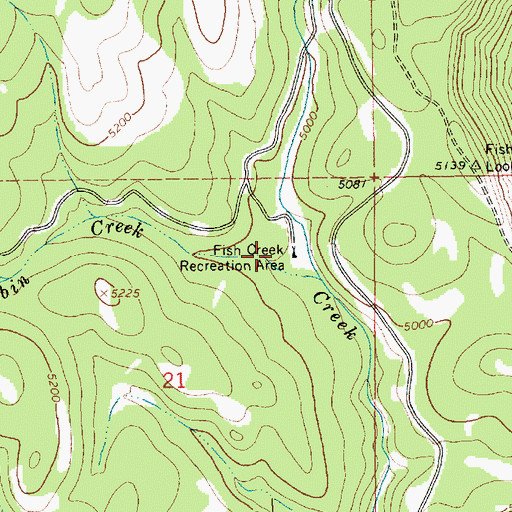 Topographic Map of Fish Creek Recreation Area, ID