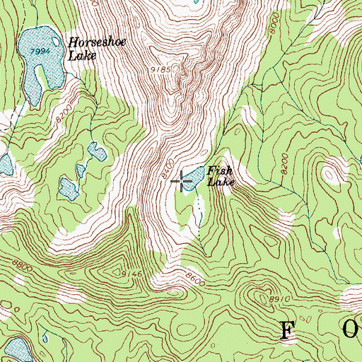Topographic Map of Fish Lake, ID