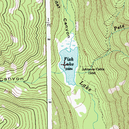 Topographic Map of Fish Lake, ID