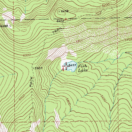 Topographic Map of Fish Lake, ID