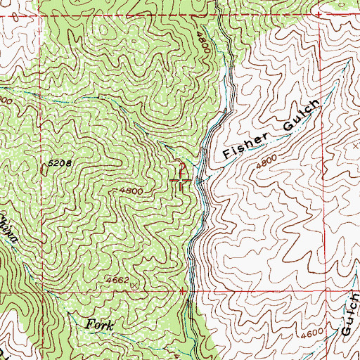 Topographic Map of Fisher Gulch, ID