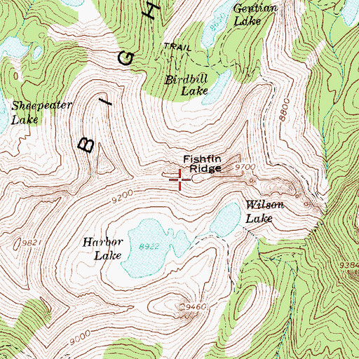 Topographic Map of Fishfin Ridge, ID