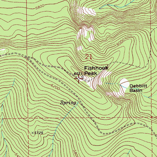 Topographic Map of Fishhook Peak, ID