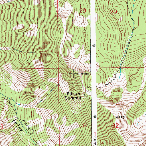 Topographic Map of Fitsum Summit, ID