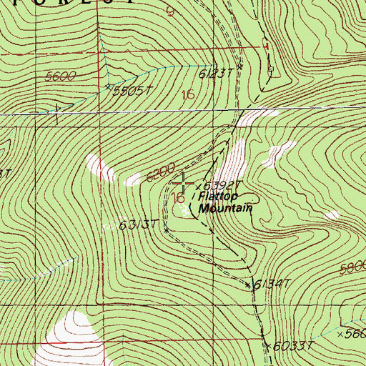 Topographic Map of Flattop Mountain, ID