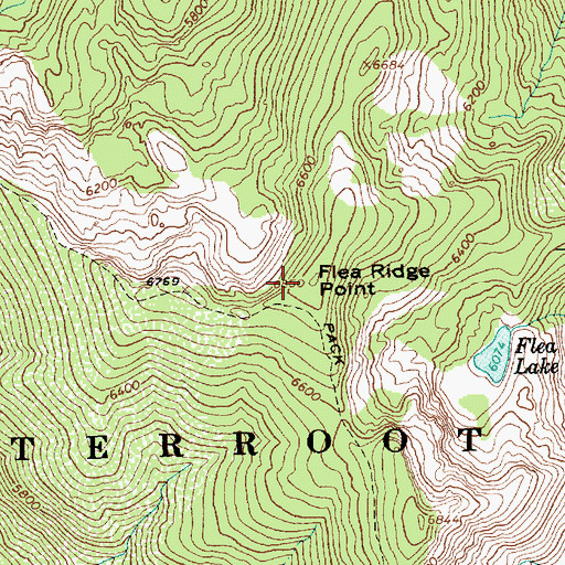 Topographic Map of Flea Ridge Point, ID