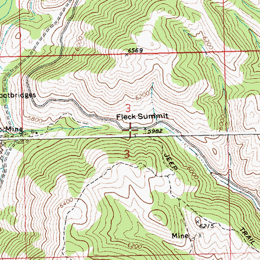 Topographic Map of Fleck Summit, ID