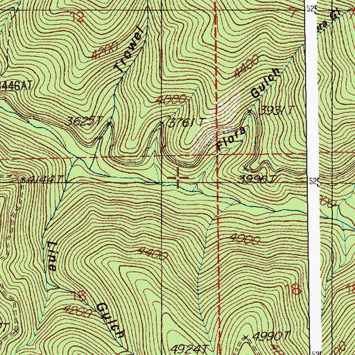 Topographic Map of Flora Gulch, ID