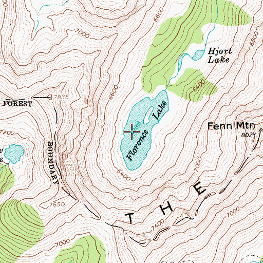 Topographic Map of Florence Lake, ID