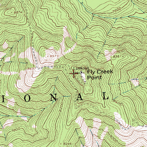 Topographic Map of Fly Creek Point, ID