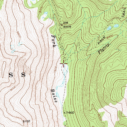 Topographic Map of Flytrip Creek, ID