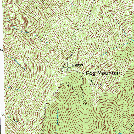 Topographic Map of Fog Mountain, ID