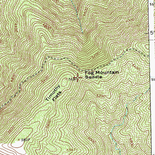 Topographic Map of Fog Mountain Saddle, ID