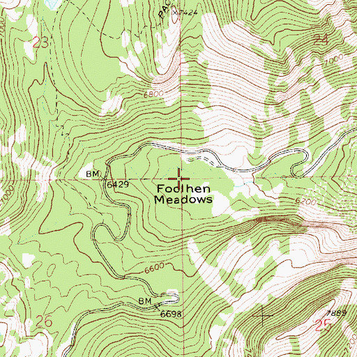 Topographic Map of Foolhen Meadows, ID