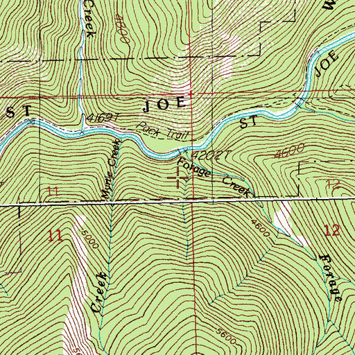 Topographic Map of Forage Creek, ID