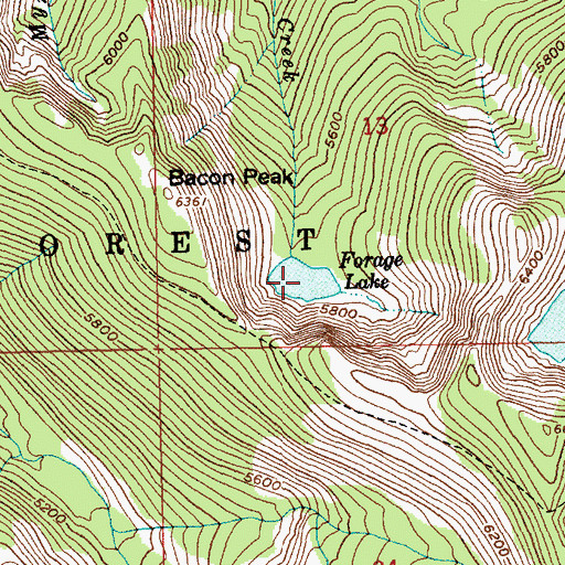 Topographic Map of Forage Lake, ID