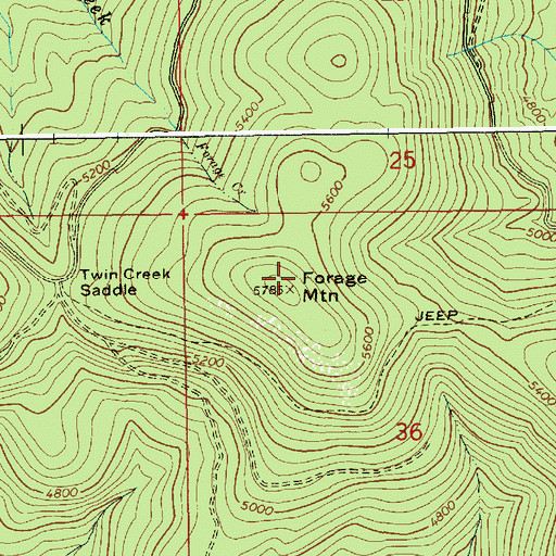 Topographic Map of Forage Mountain, ID