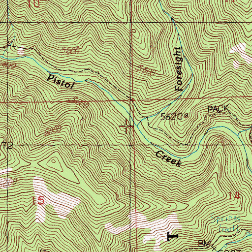 Topographic Map of Foresight Creek, ID