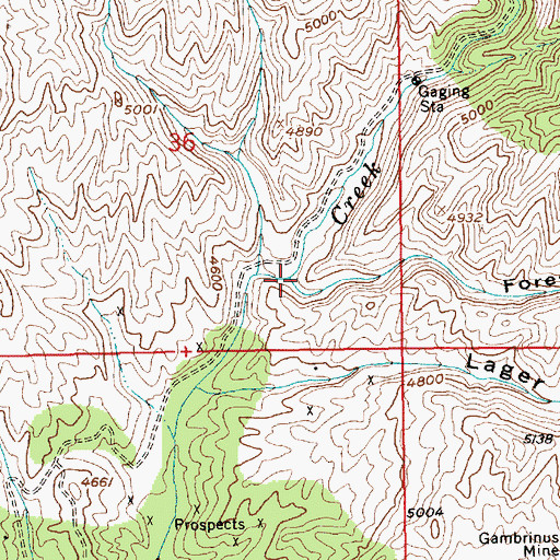 Topographic Map of Forest King Gulch, ID