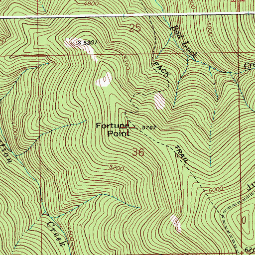 Topographic Map of Fortune Point, ID