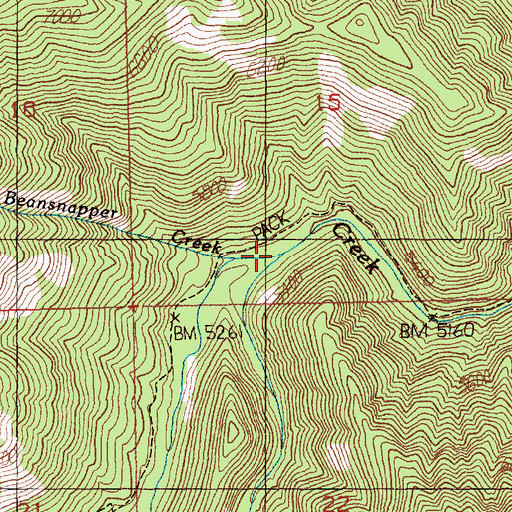 Topographic Map of Forty-five Creek, ID