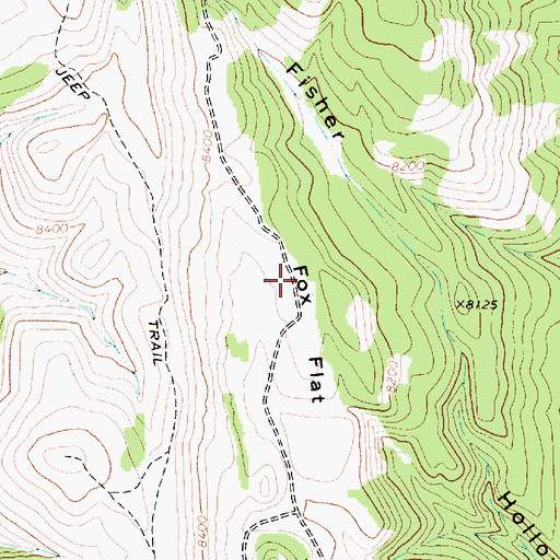 Topographic Map of Fox Flat, ID