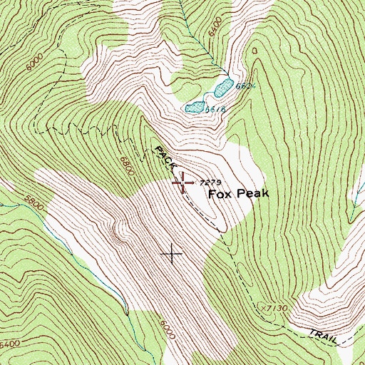 Topographic Map of Fox Peak, ID