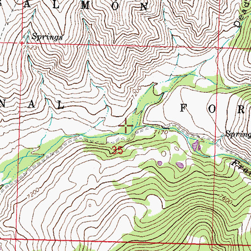 Topographic Map of Frank Hall Creek, ID