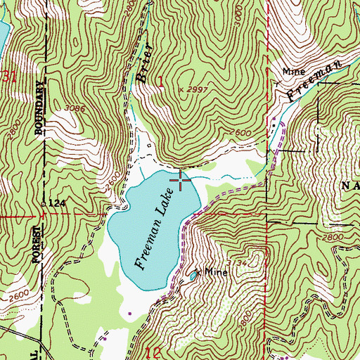 Topographic Map of Freeman Creek, ID