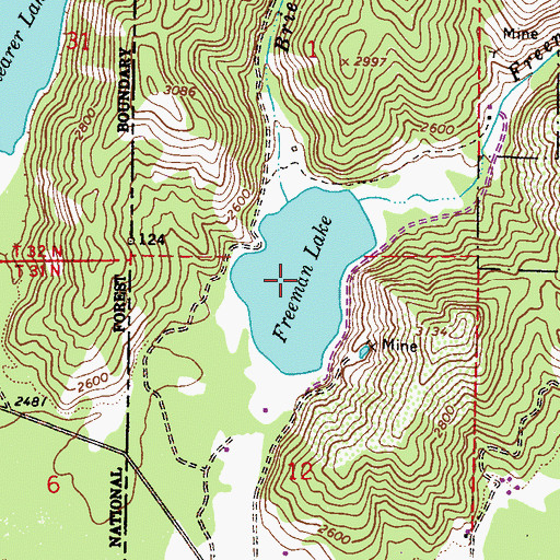 Topographic Map of Freeman Lake, ID