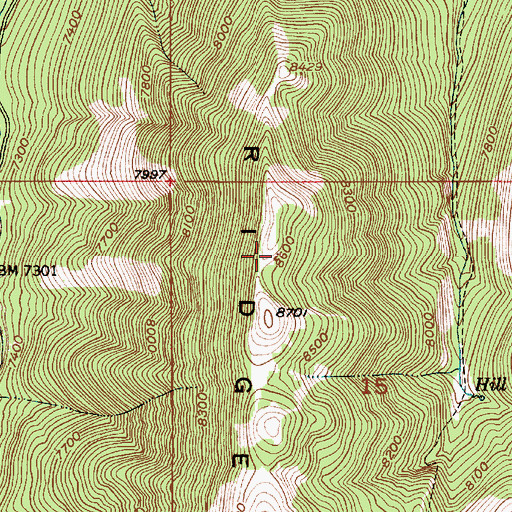 Topographic Map of Freeman Ridge, ID