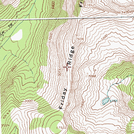 Topographic Map of Friday Ridge, ID