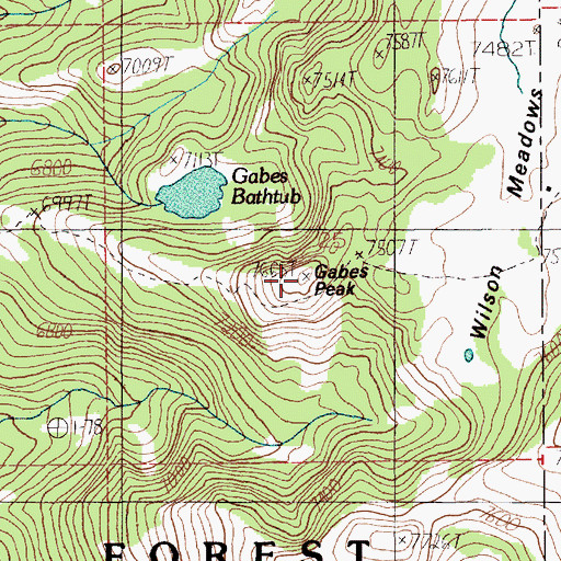 Topographic Map of Gabes Peak, ID