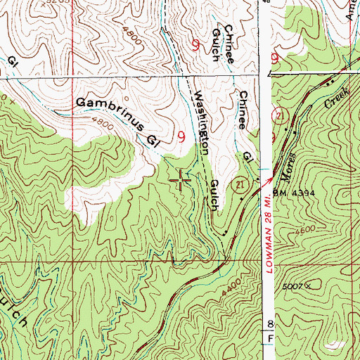 Topographic Map of Gambrinus Gulch, ID