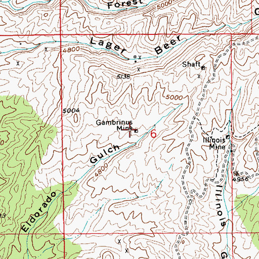Topographic Map of Gambrinus Mine, ID
