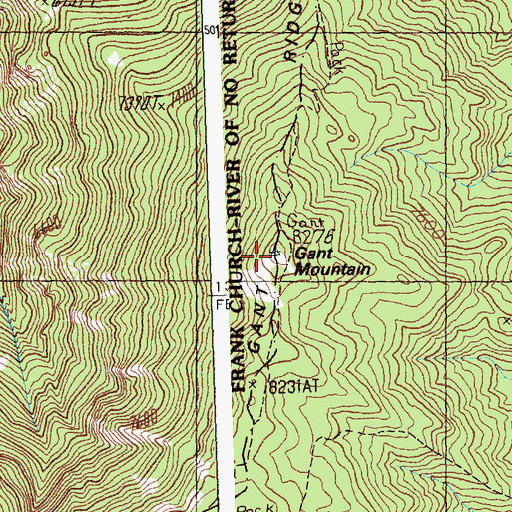 Topographic Map of Gant Mountain, ID