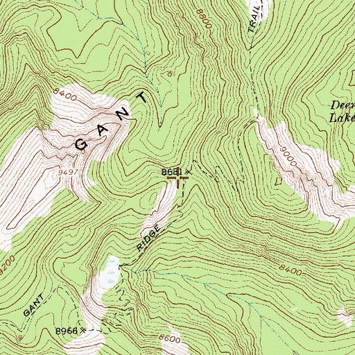 Topographic Map of Gant Ridge Trail, ID