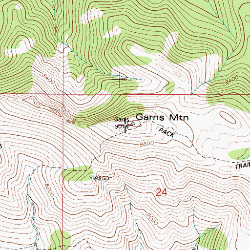 Topographic Map of Garns Mountain, ID