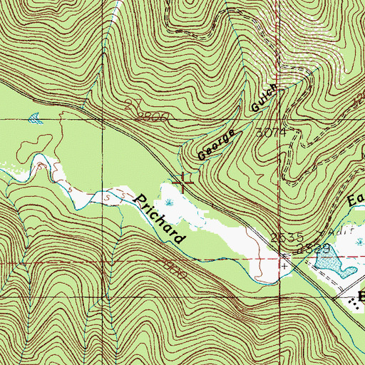 Topographic Map of George Gulch, ID