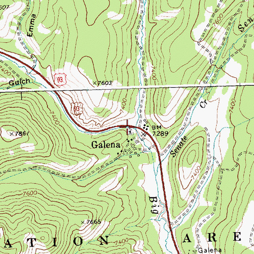 Topographic Map of Gladiator Creek, ID