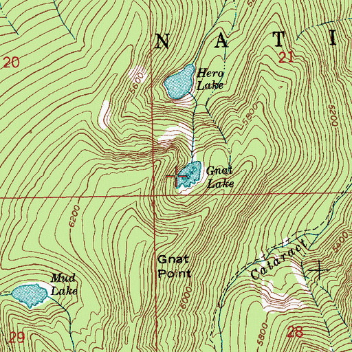 Topographic Map of Gnat Lake, ID