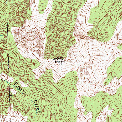 Topographic Map of Goat Mountain, ID